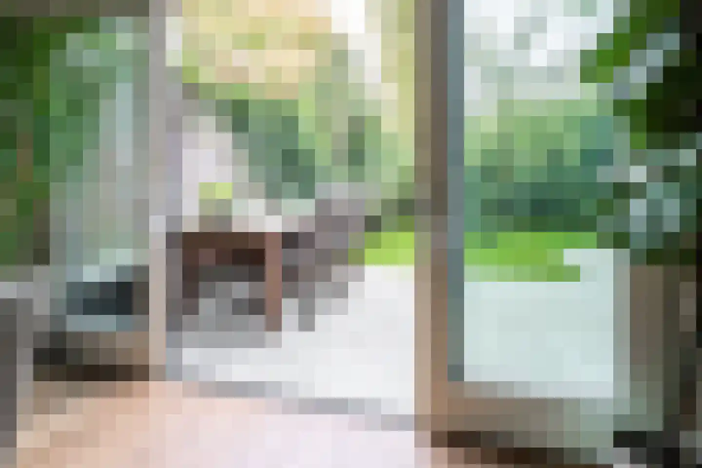 Lasondersingel 147 Enschede thumbnail 14