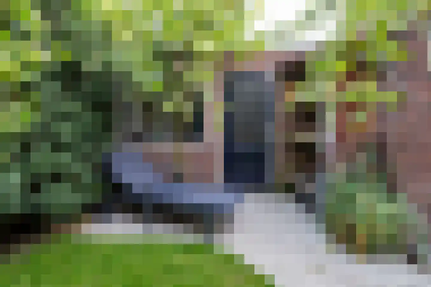 Lasondersingel 147 Enschede thumbnail 51