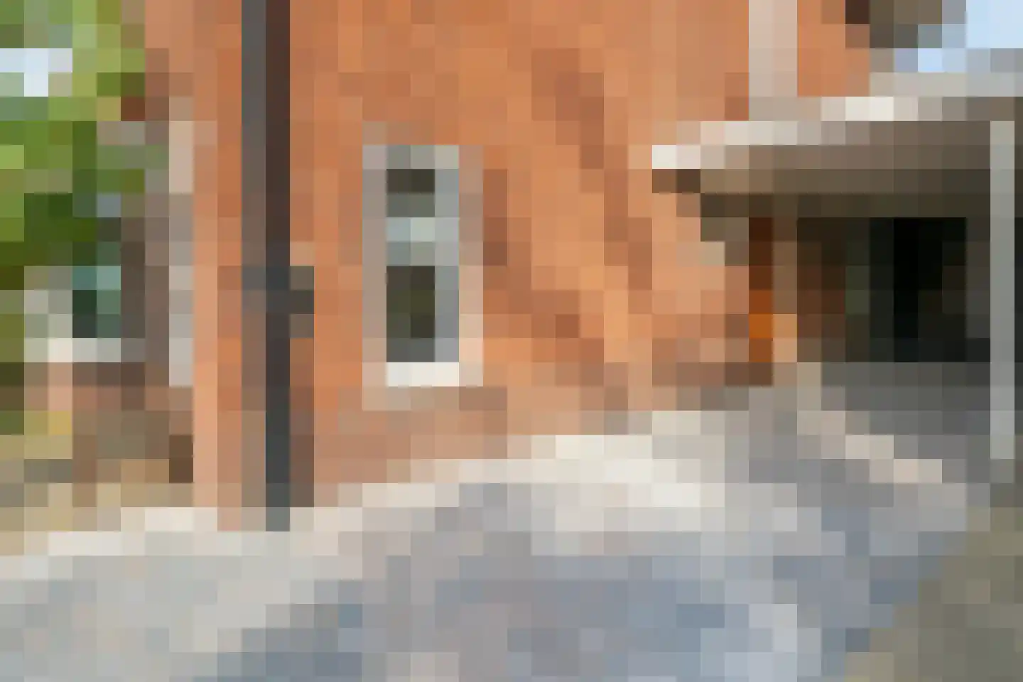 Lasondersingel 147 Enschede thumbnail 6