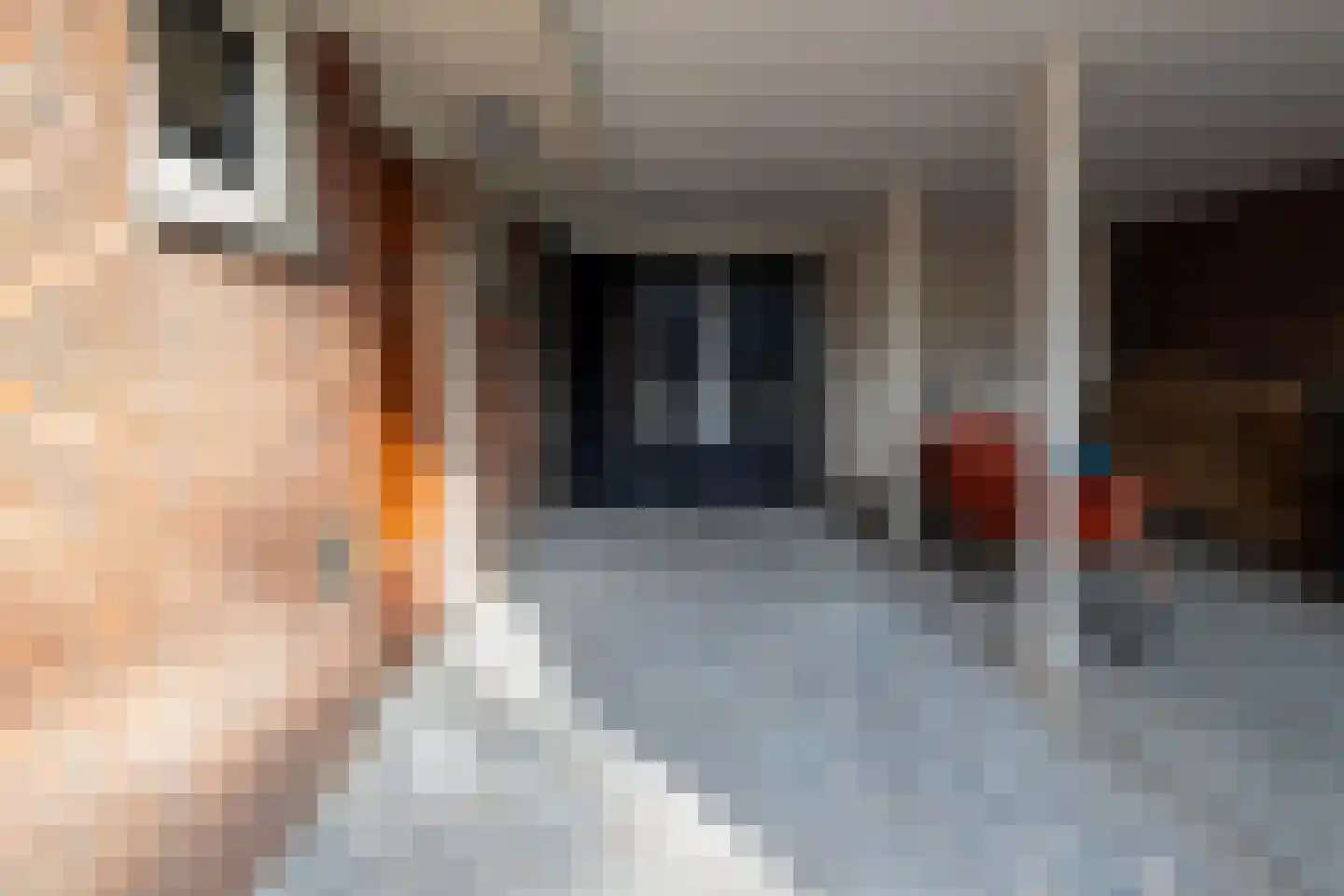 Lasondersingel 147 Enschede thumbnail 7