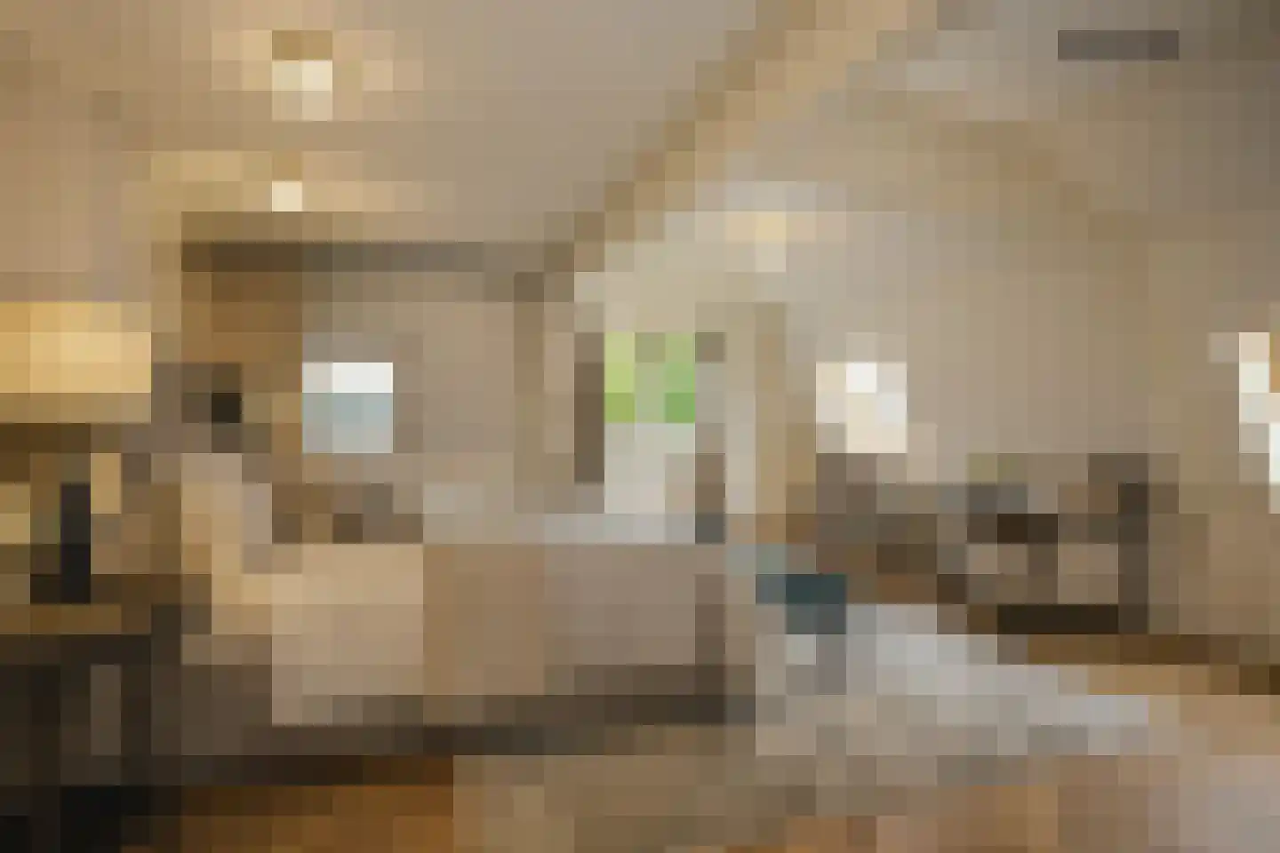 Lasondersingel 56 Enschede thumbnail 36