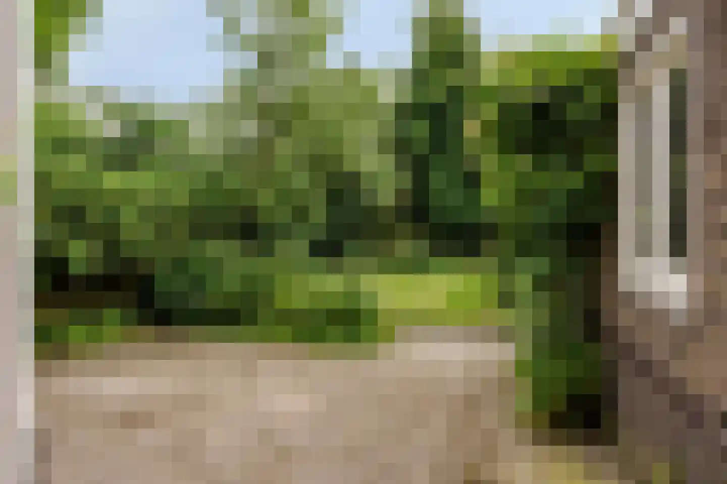 Lasondersingel 82 Enschede thumbnail 51