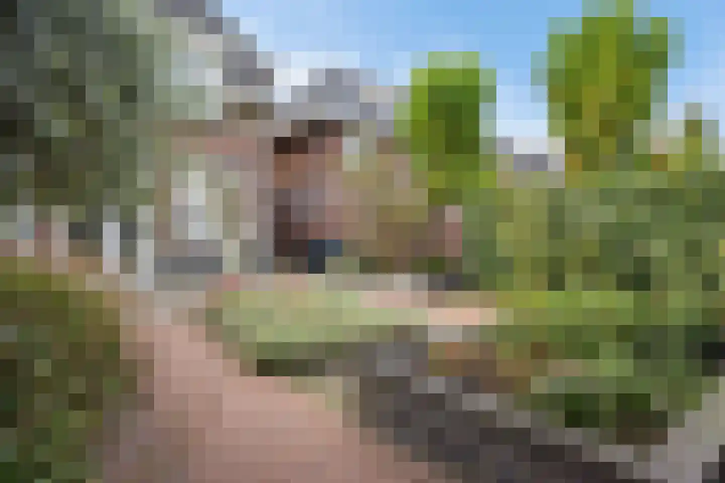 Lasondersingel 93 Enschede thumbnail 46
