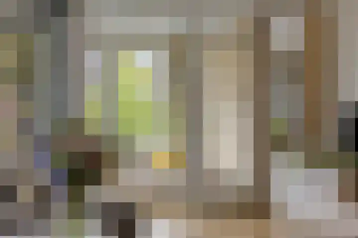 Lasserstraat 156 Leiden thumbnail 6