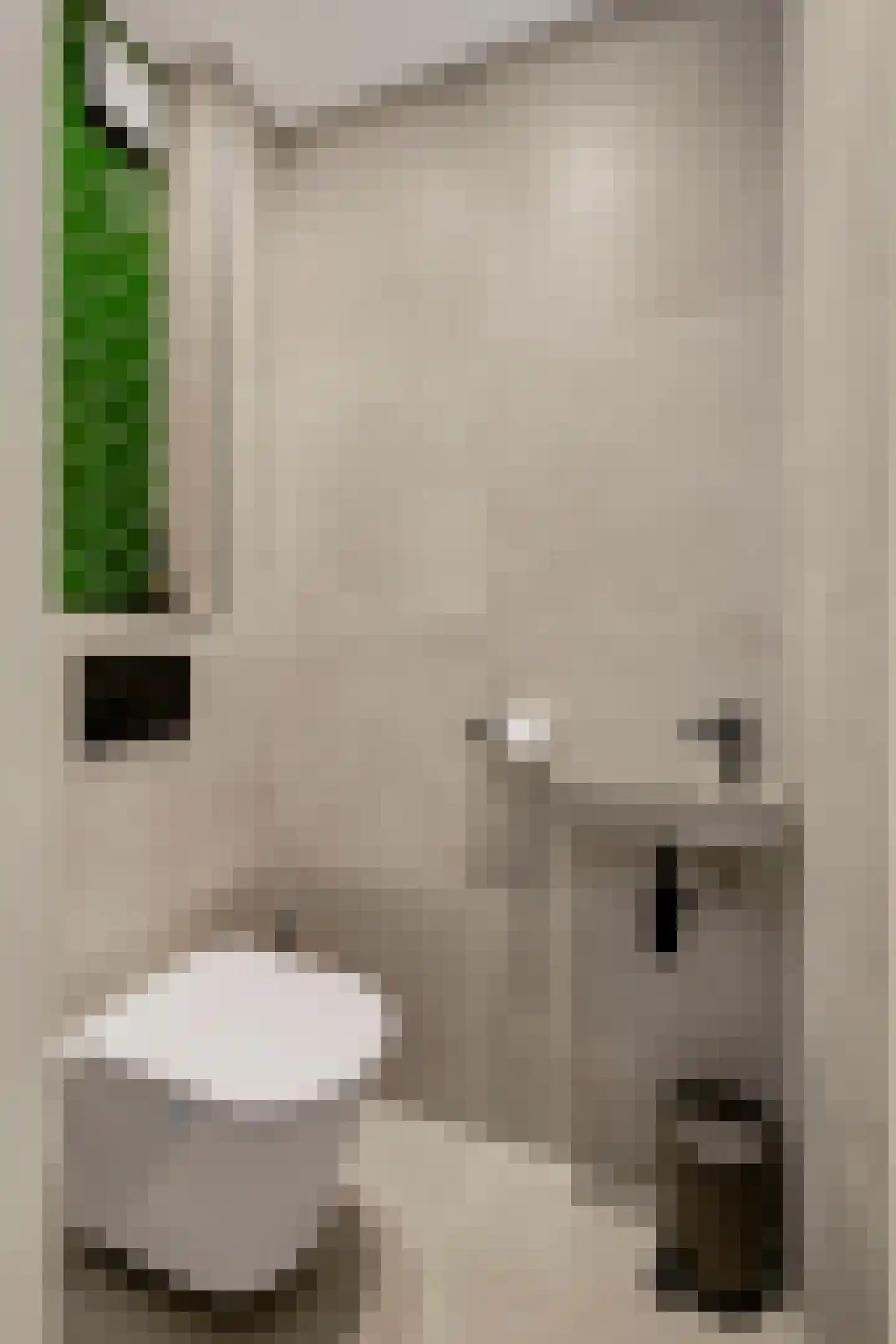 Lassuslaan 14 Ede thumbnail 19
