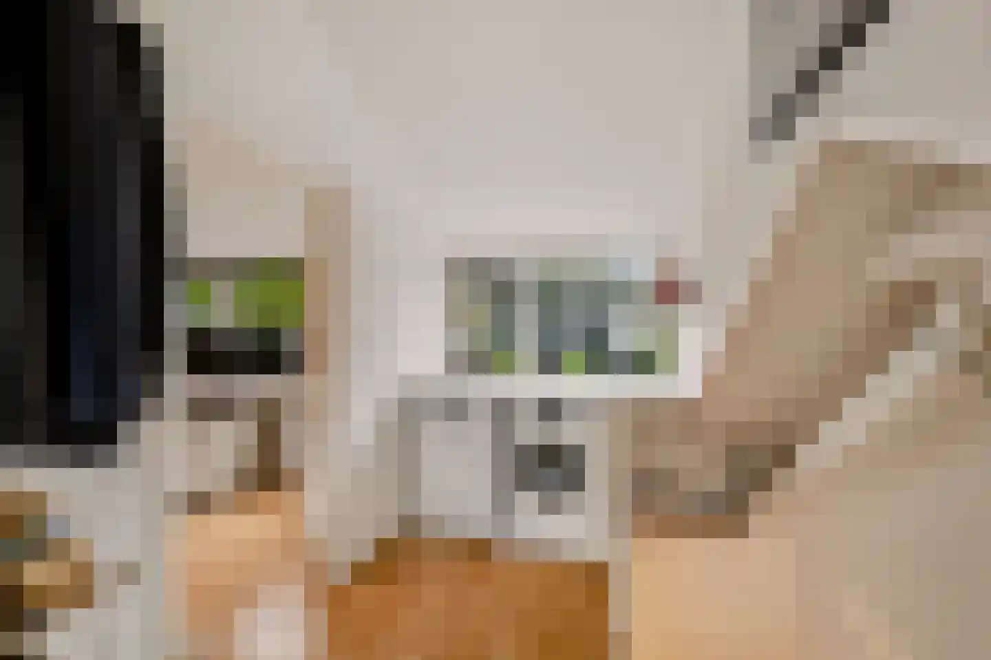 Lassuslaan 14 Ede thumbnail 30