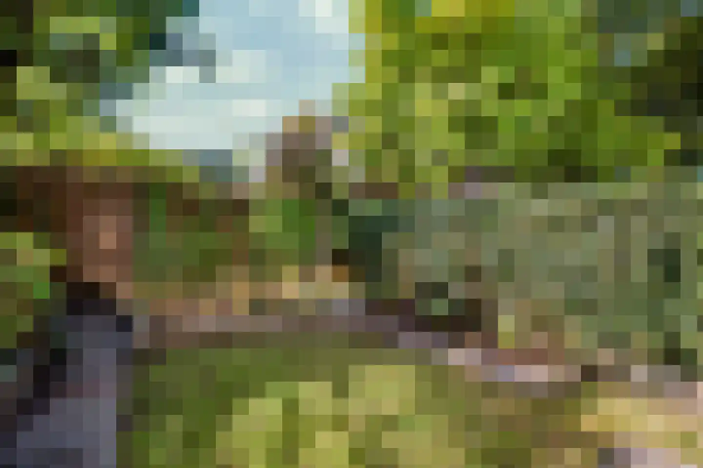 Lassuslaan 14 Ede thumbnail 37