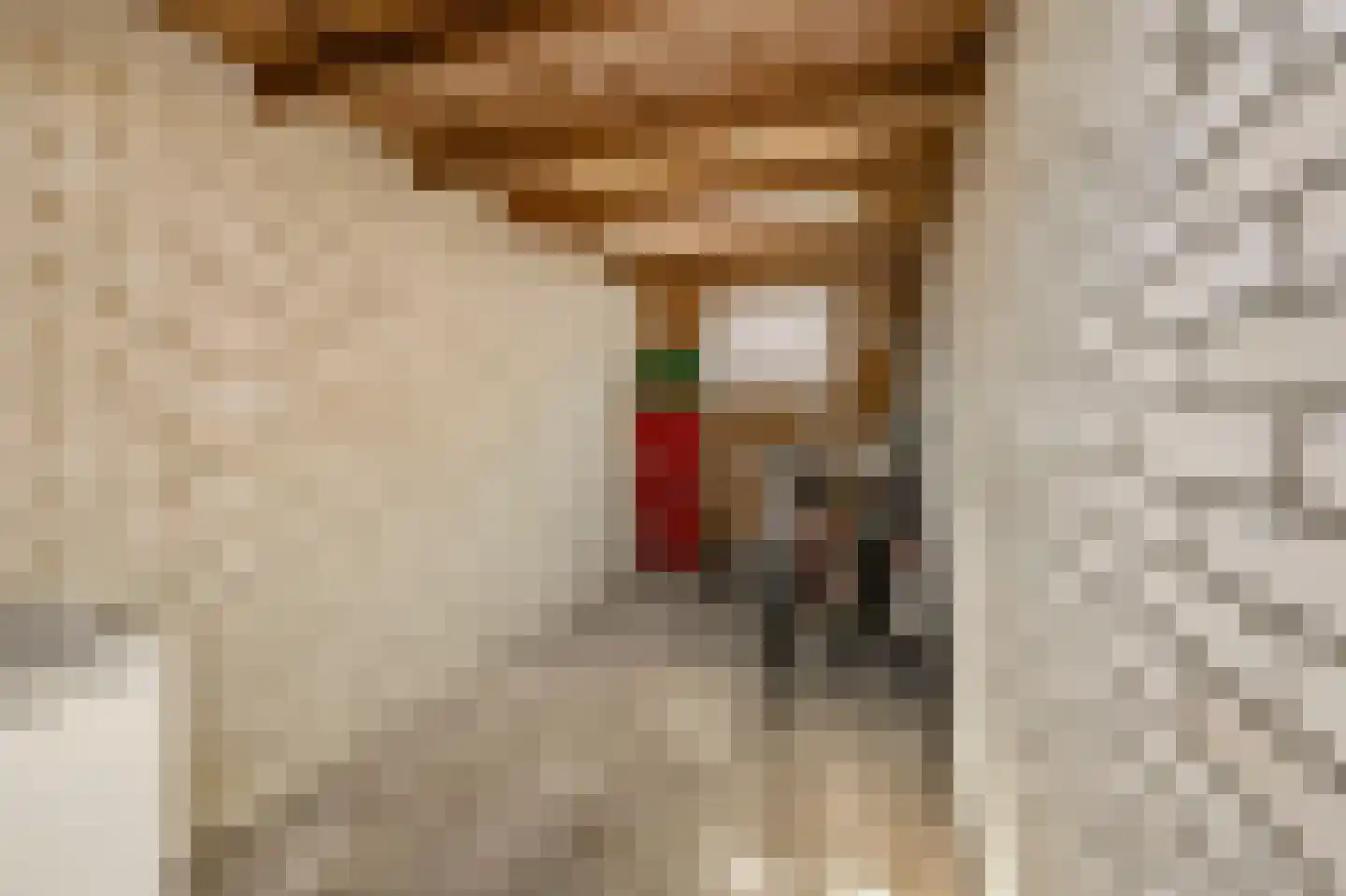 Lassuslaan 14 Ede thumbnail 40