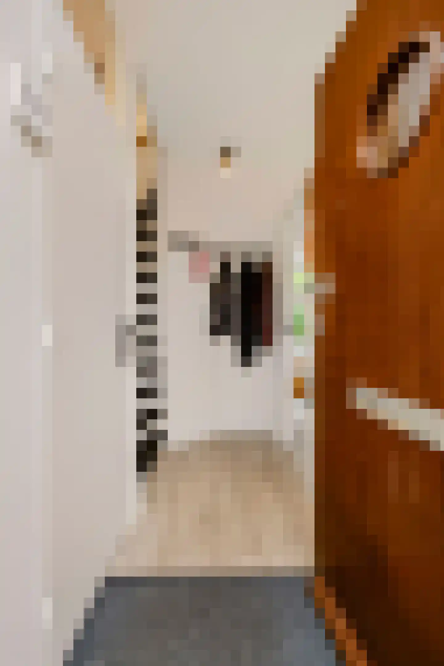 Lassuslaan 14 Ede thumbnail 7