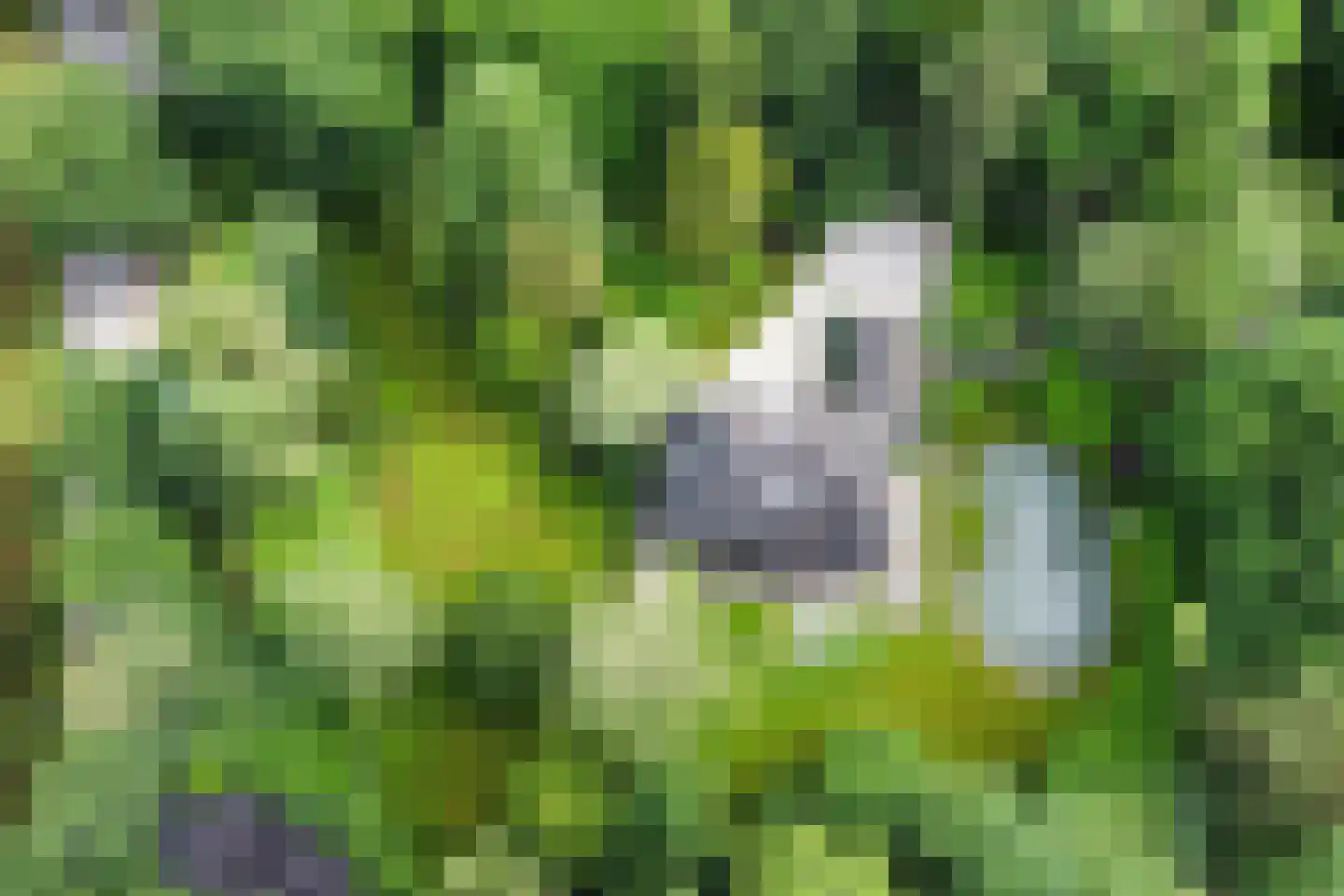 Lassuslaan 2 Bilthoven thumbnail 13