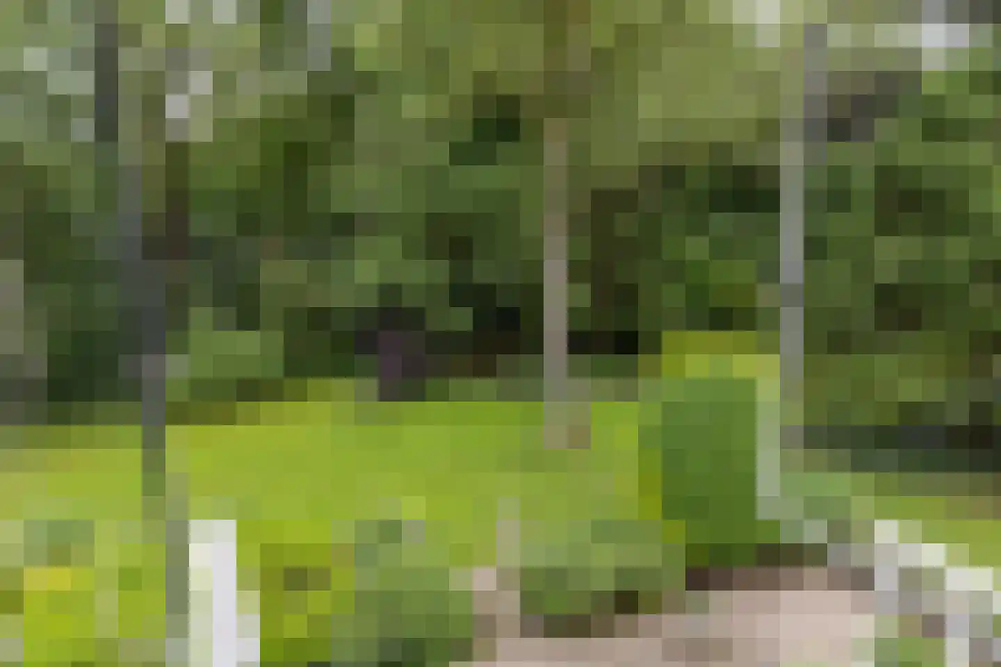 Lassuslaan 2 Bilthoven thumbnail 14