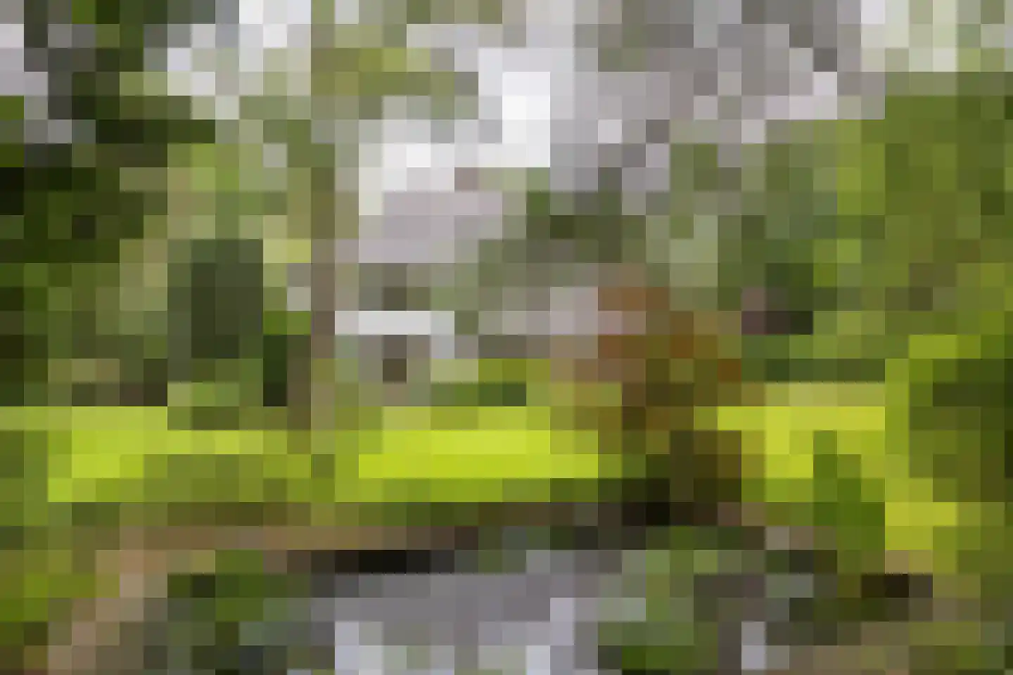 Lassuslaan 2 Bilthoven thumbnail 16