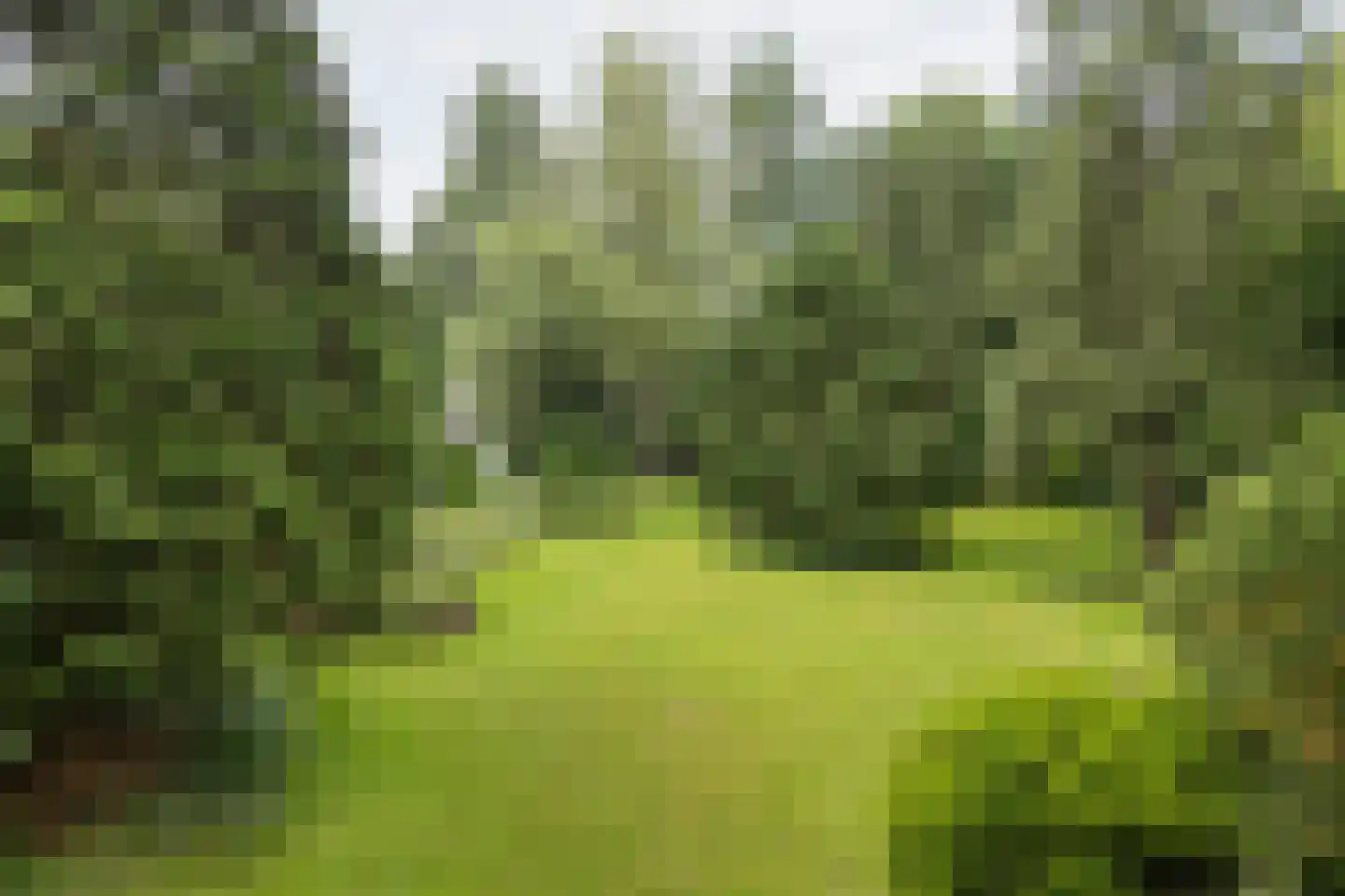 Lassuslaan 2 Bilthoven thumbnail 17