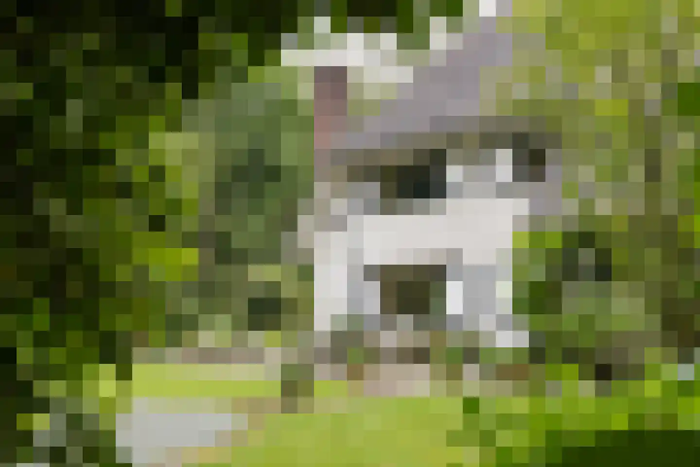 Lassuslaan 2 Bilthoven thumbnail 20