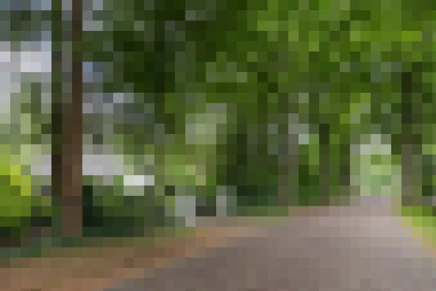 Lassuslaan 2 Bilthoven thumbnail 22