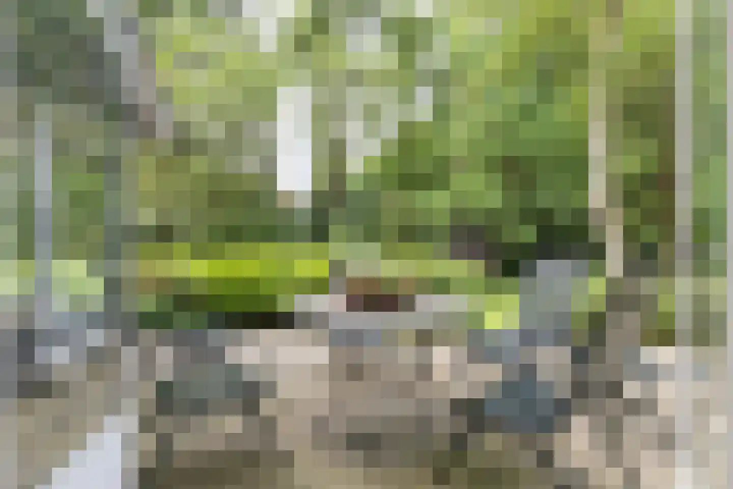 Lassuslaan 2 Bilthoven thumbnail 7