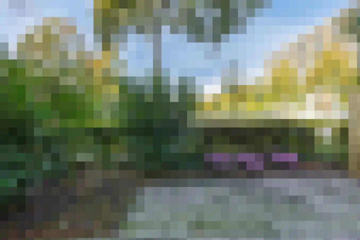 Lassuslaan 254 Zwolle thumbnail 28