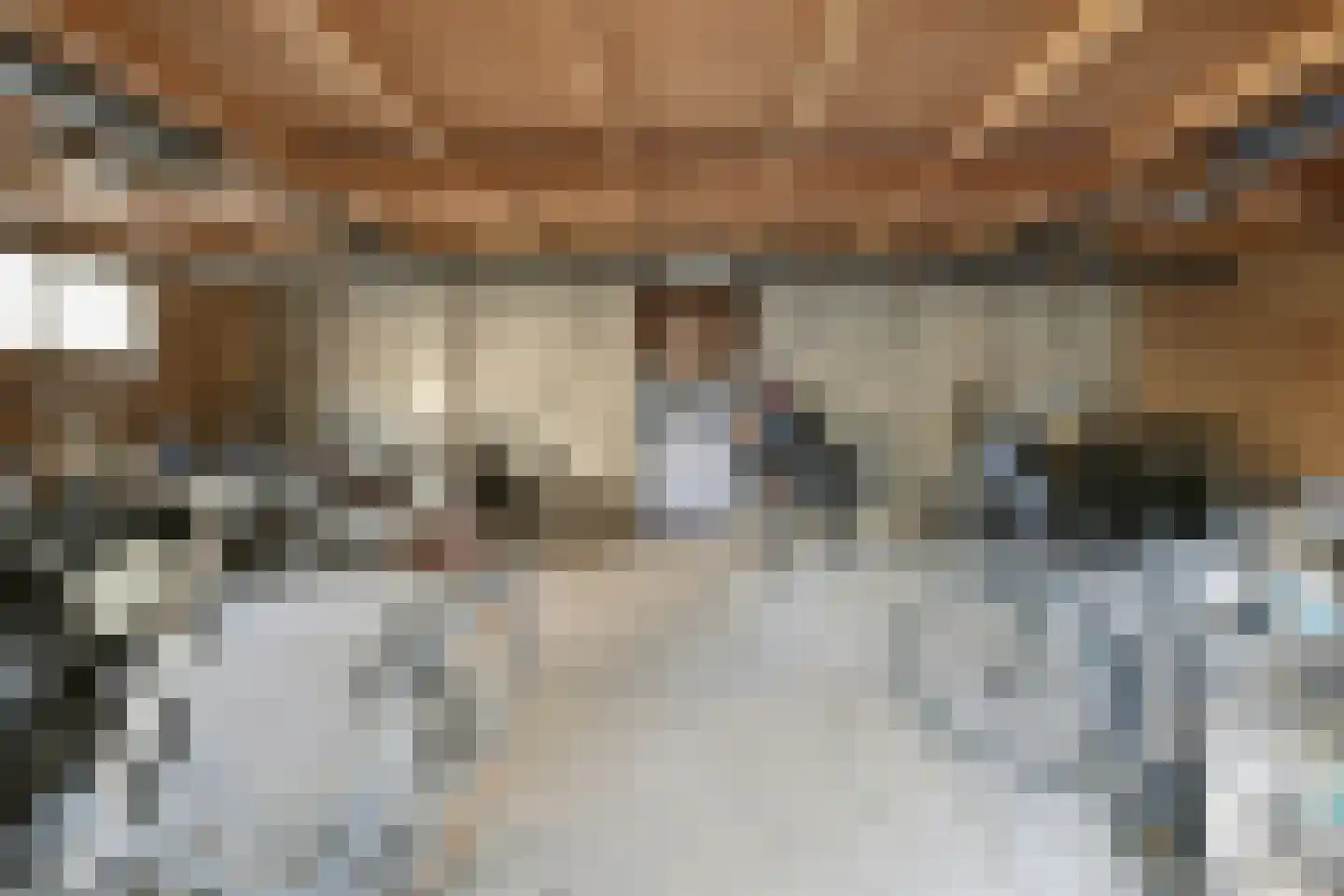 Lassuslaan 254 Zwolle thumbnail 31