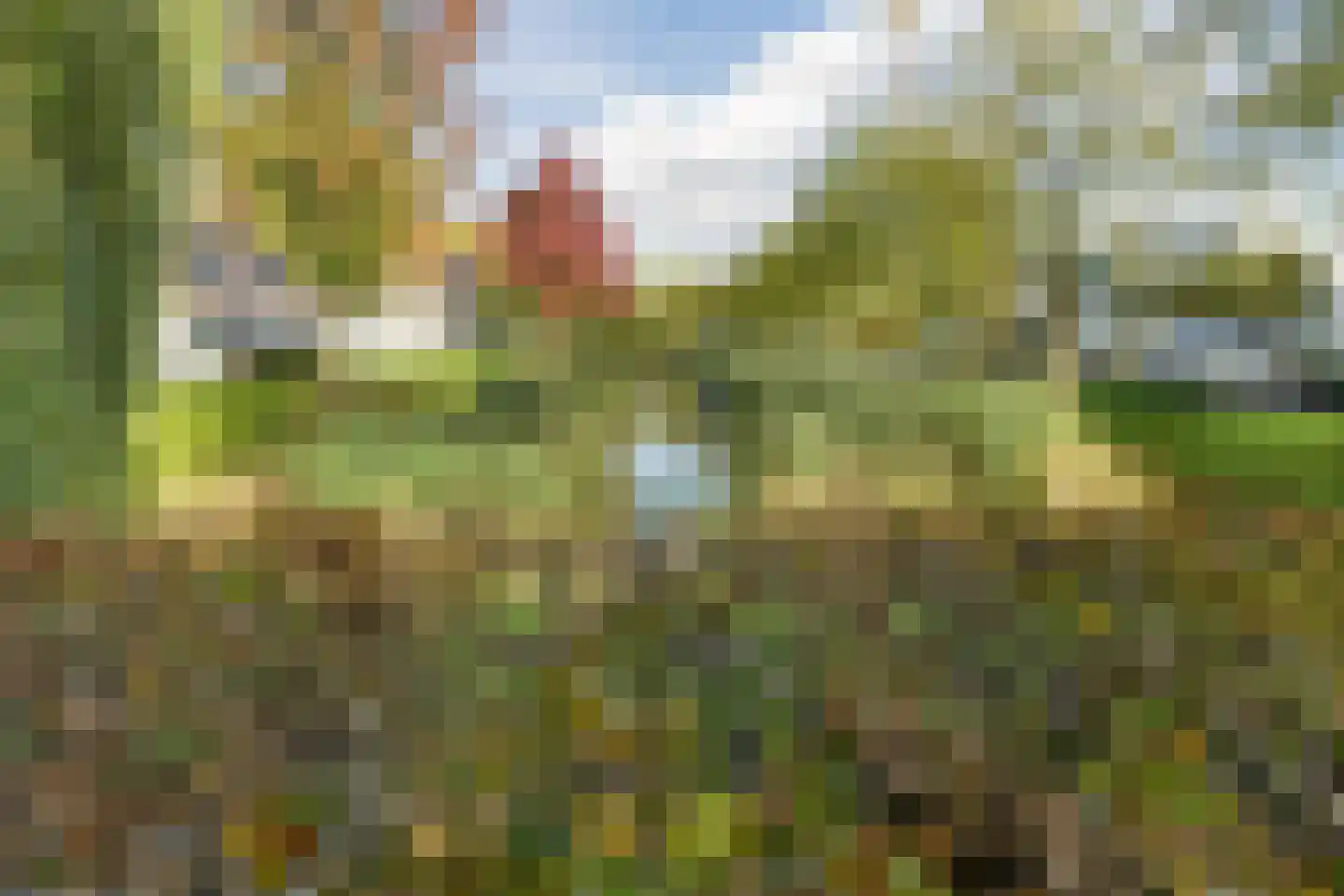 Lassuslaan 254 Zwolle thumbnail 35