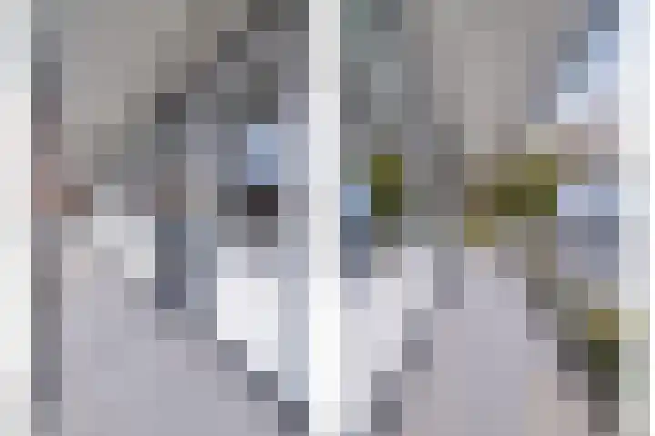 Lassuslaan 256 Zwolle thumbnail 13