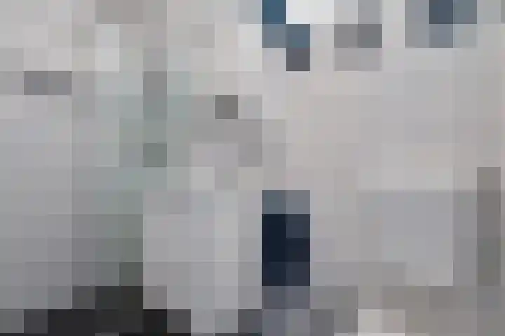 Lassuslaan 256 Zwolle thumbnail 19