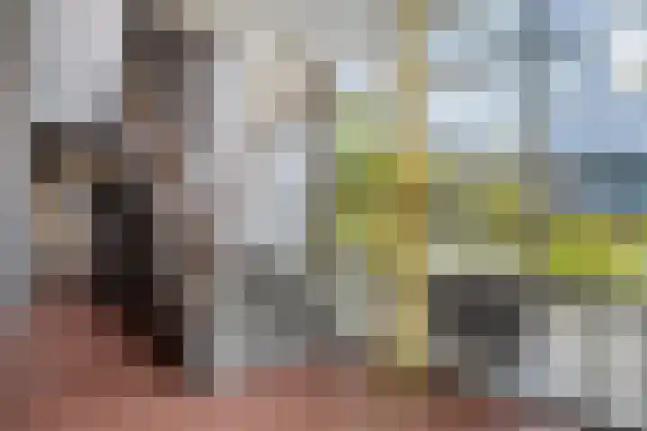 Lassuslaan 256 Zwolle thumbnail 22