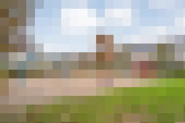 Lassuslaan 256 Zwolle thumbnail 25