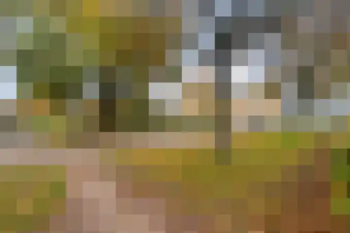 Lassuslaan 256 Zwolle thumbnail 26