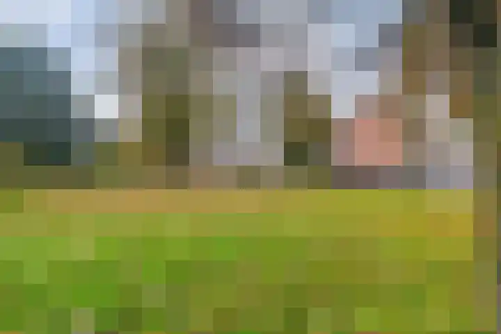 Lassuslaan 256 Zwolle thumbnail 27