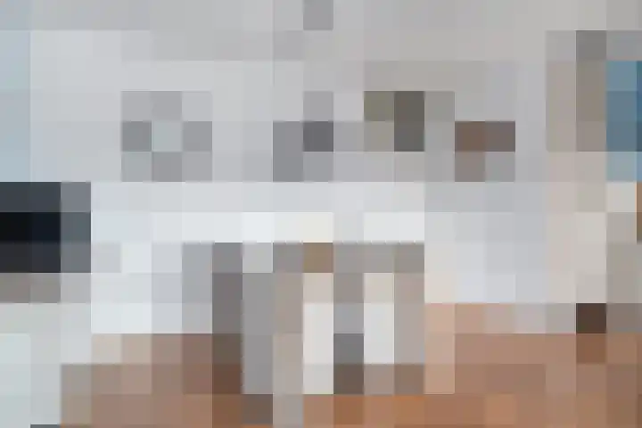 Lassuslaan 256 Zwolle thumbnail 7