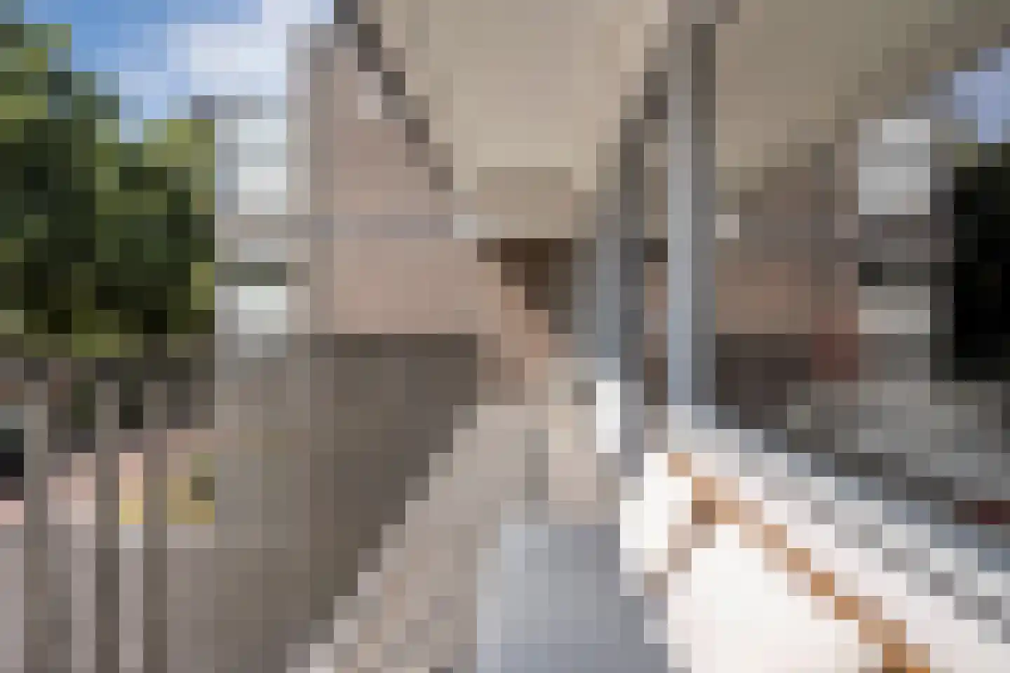 Lassuslaan 276 Zwolle thumbnail 29