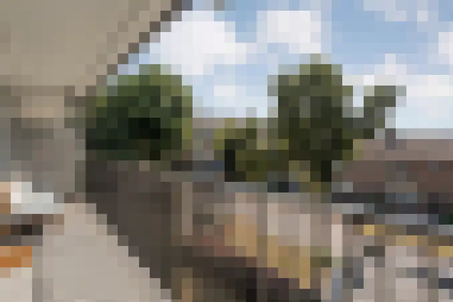 Lassuslaan 276 Zwolle thumbnail 32