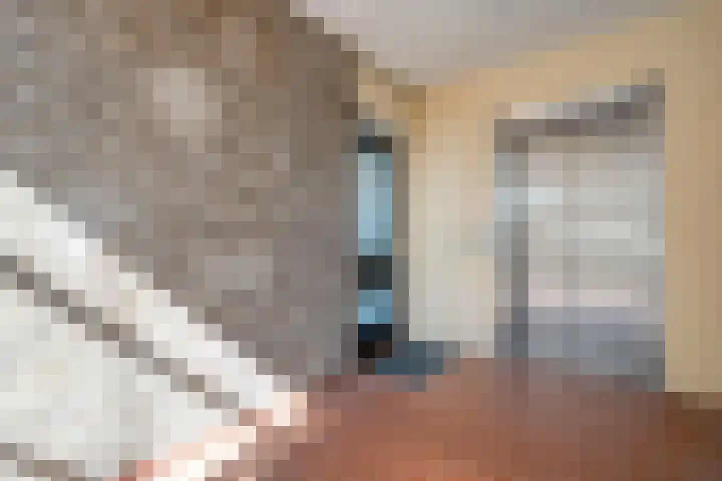 Lassuslaan 276 Zwolle thumbnail 33
