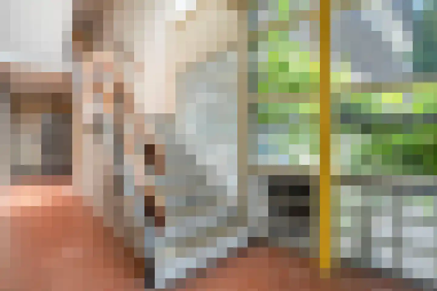 Lassuslaan 276 Zwolle thumbnail 8