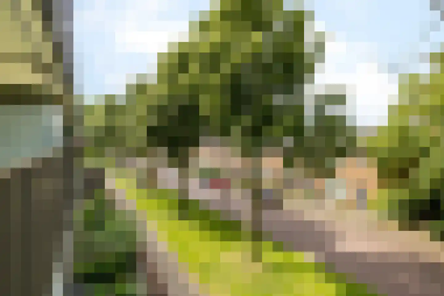 Lassuslaan 286 Zwolle thumbnail 25