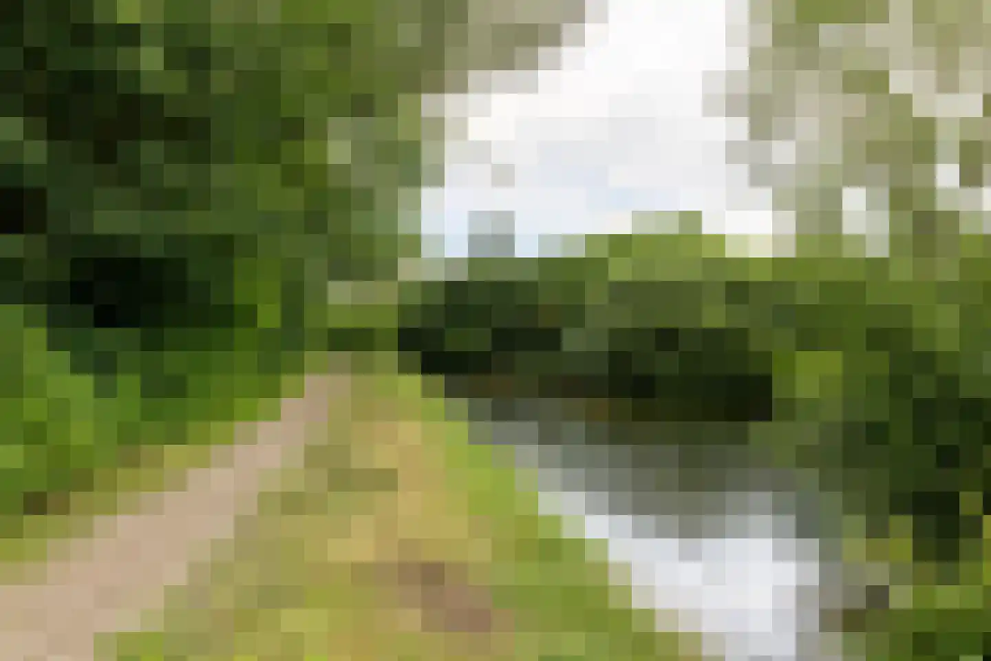 Lassuslaan 286 Zwolle thumbnail 39