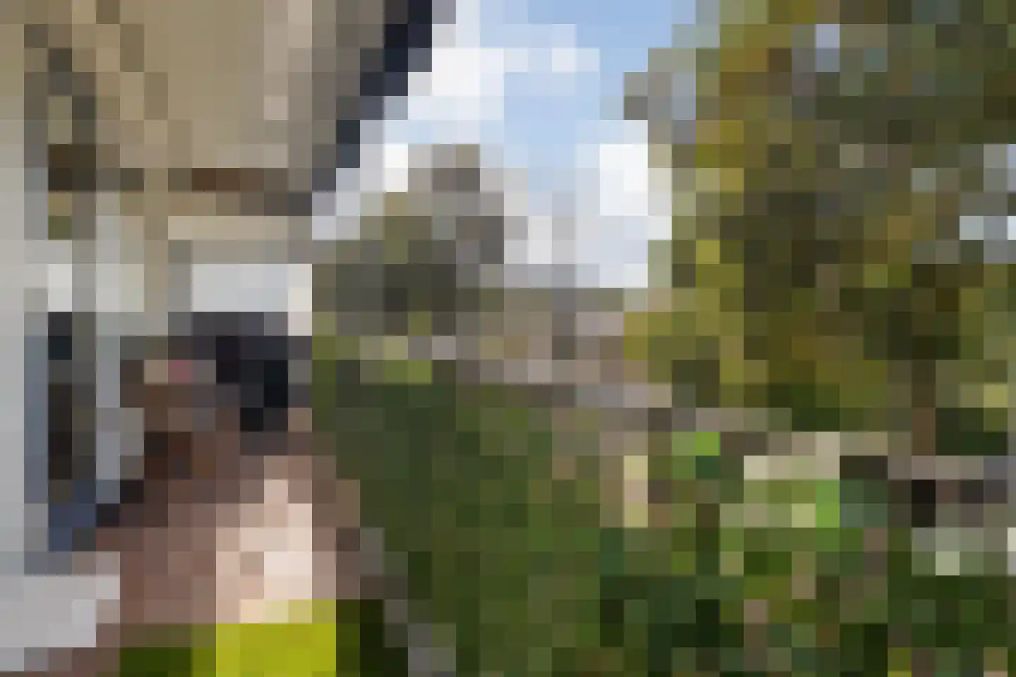 Lassuslaan 290 Zwolle thumbnail 11