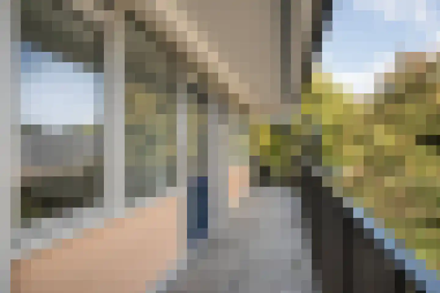 Lassuslaan 290 Zwolle thumbnail 22