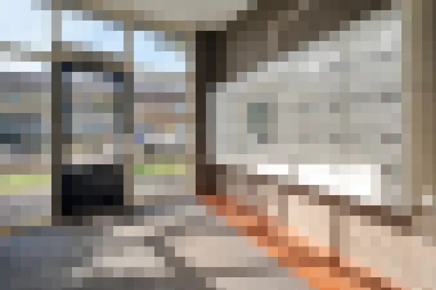 Lassuslaan 290 Zwolle thumbnail 25