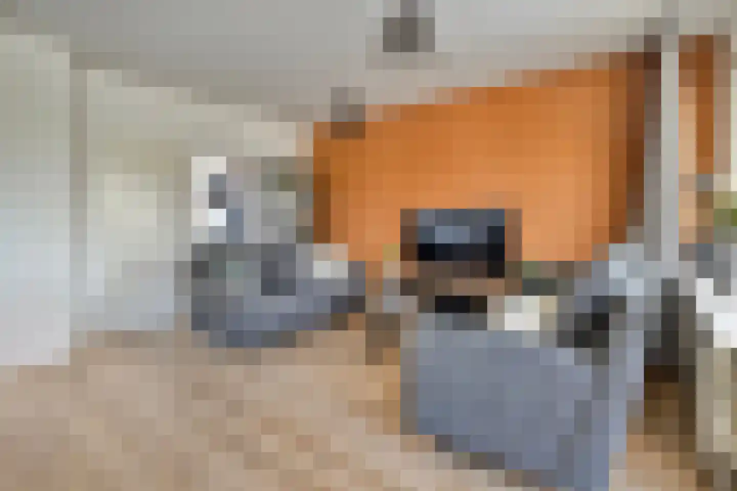 Lassuslaan 290 Zwolle thumbnail 5