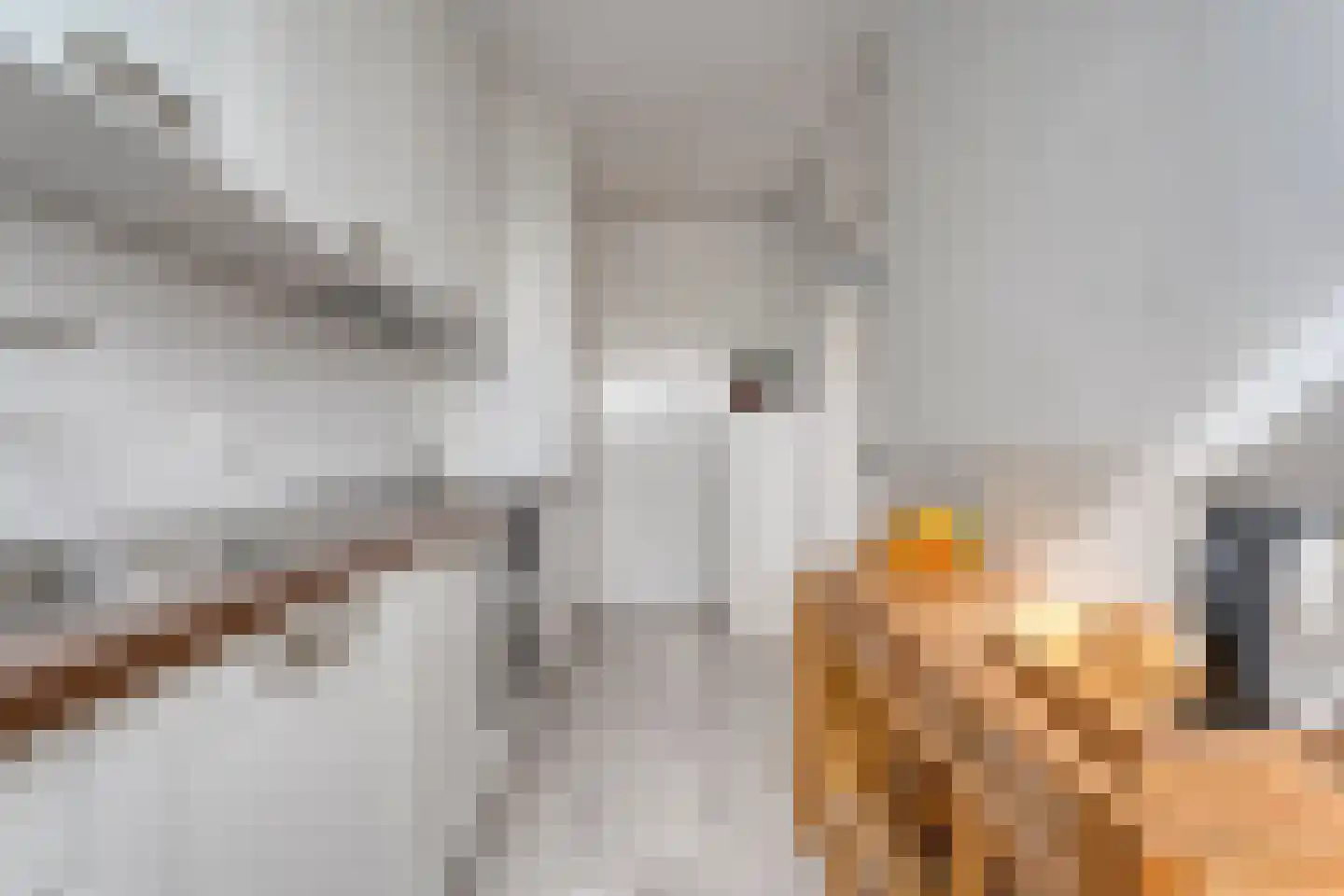 Lassuslaan 296 Zwolle thumbnail 11