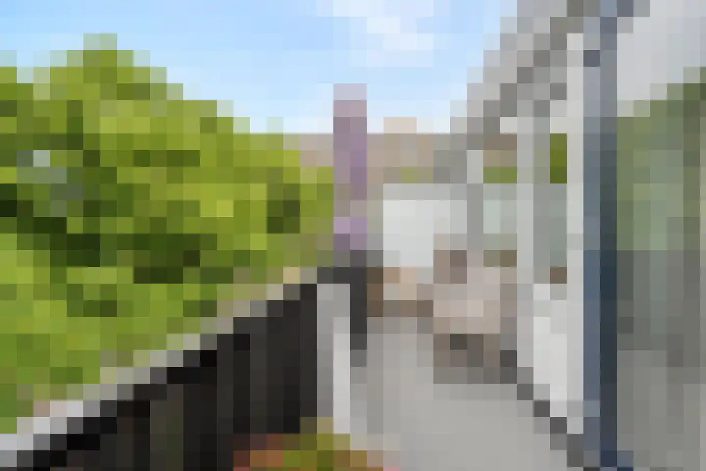 Lassuslaan 296 Zwolle thumbnail 19