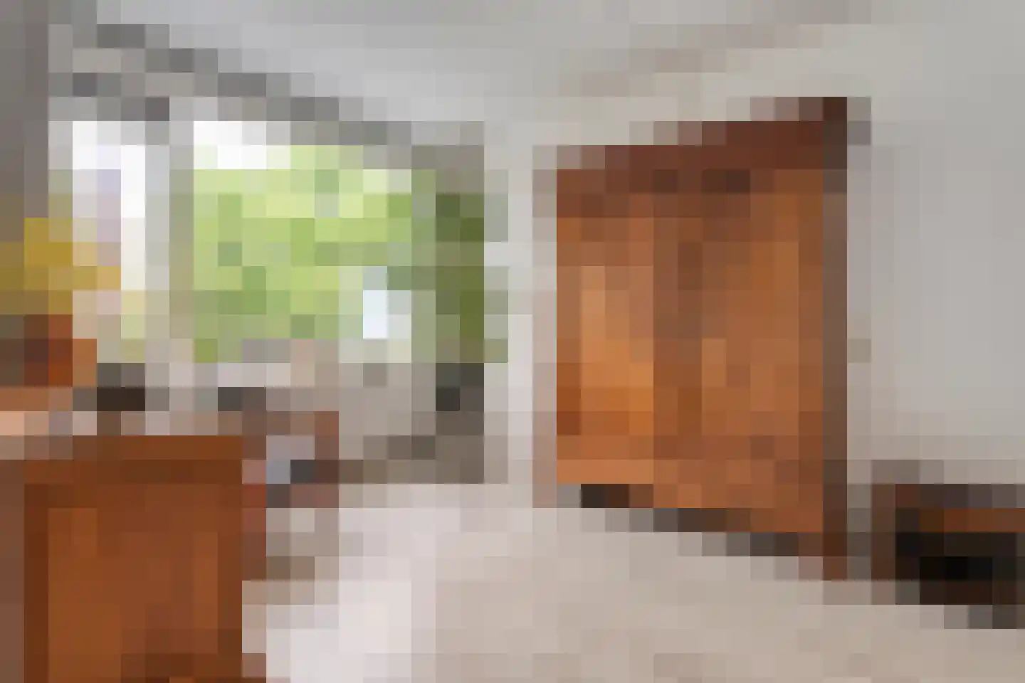 Lassuslaan 296 Zwolle thumbnail 6