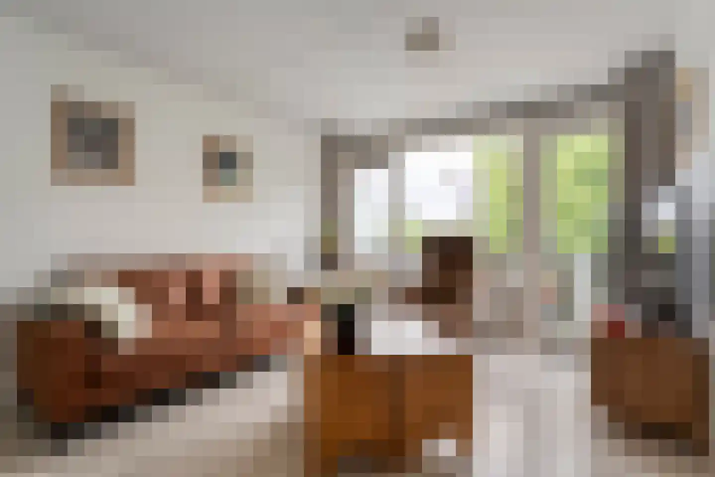 Lassuslaan 296 Zwolle thumbnail 8