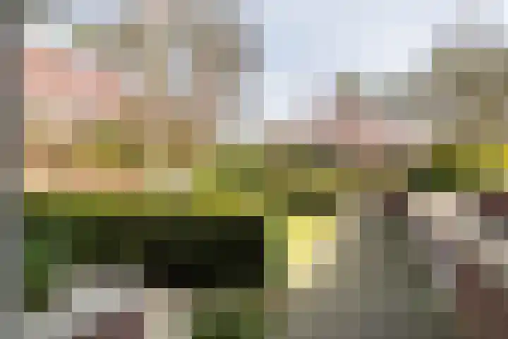 Lassuslaan 52 C Bilthoven thumbnail 4