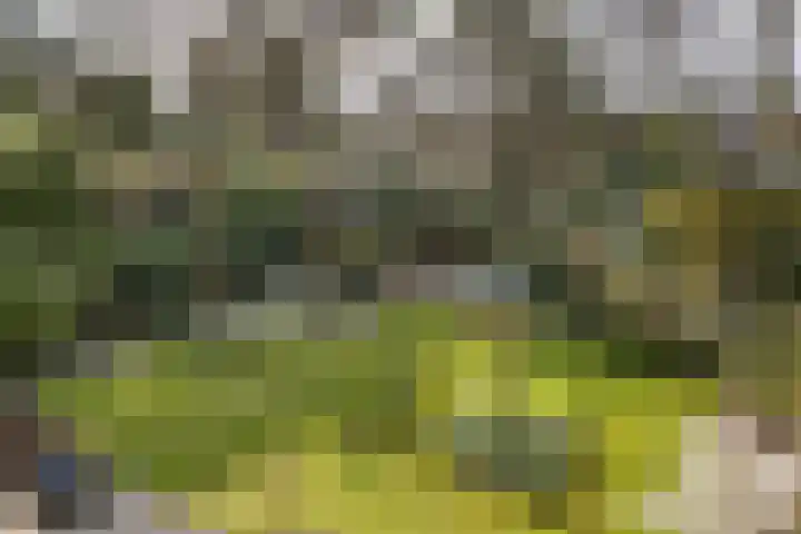 Lassuslaan 52 C Bilthoven thumbnail 53