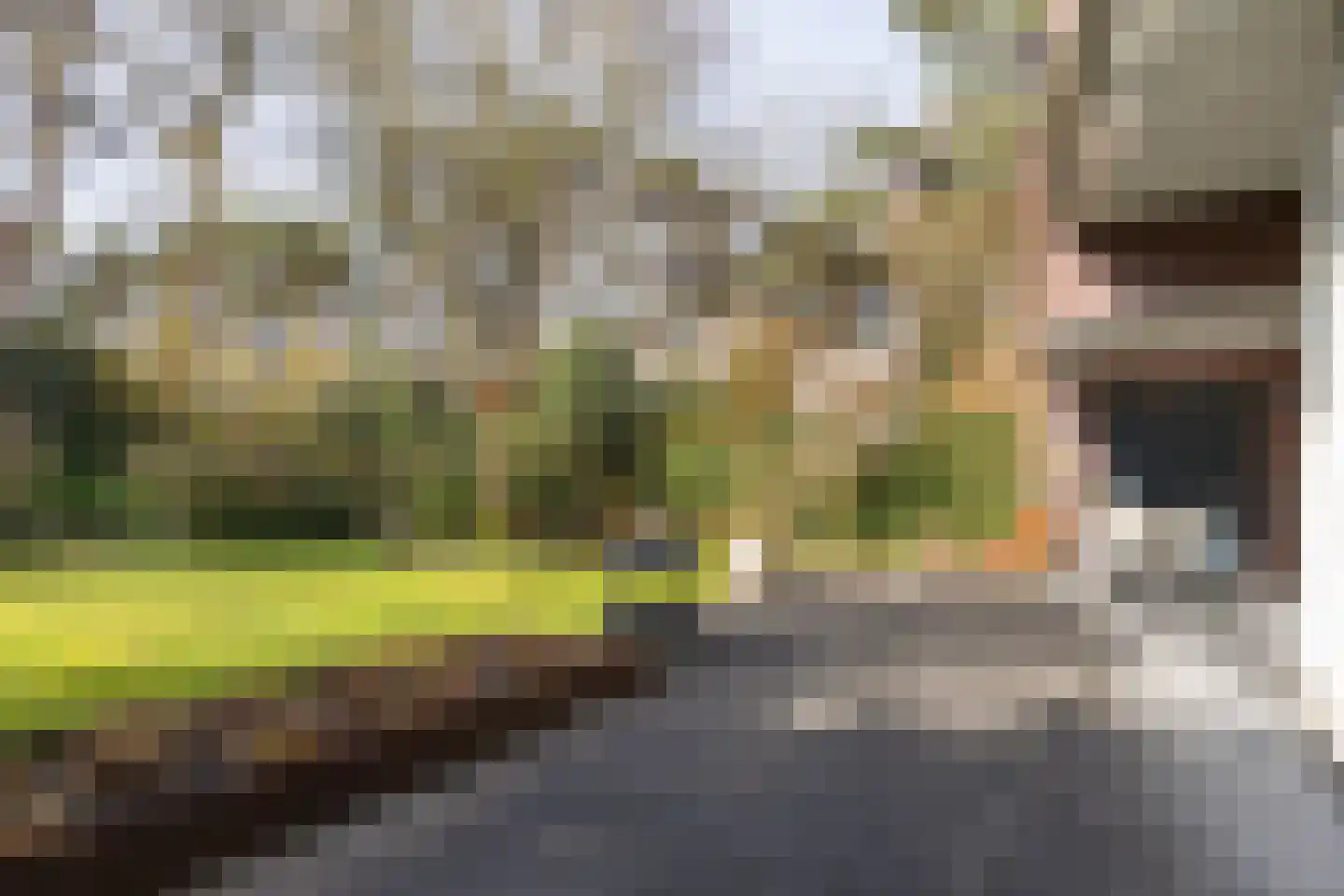 Lassuslaan 52 C Bilthoven thumbnail 54