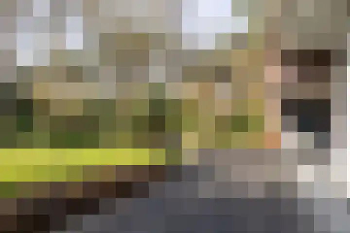 Lassuslaan 52 C Bilthoven thumbnail 54