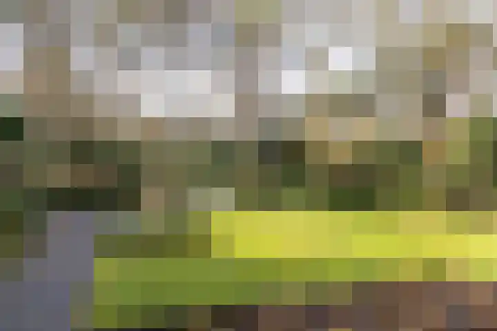 Lassuslaan 52 C Bilthoven thumbnail 55