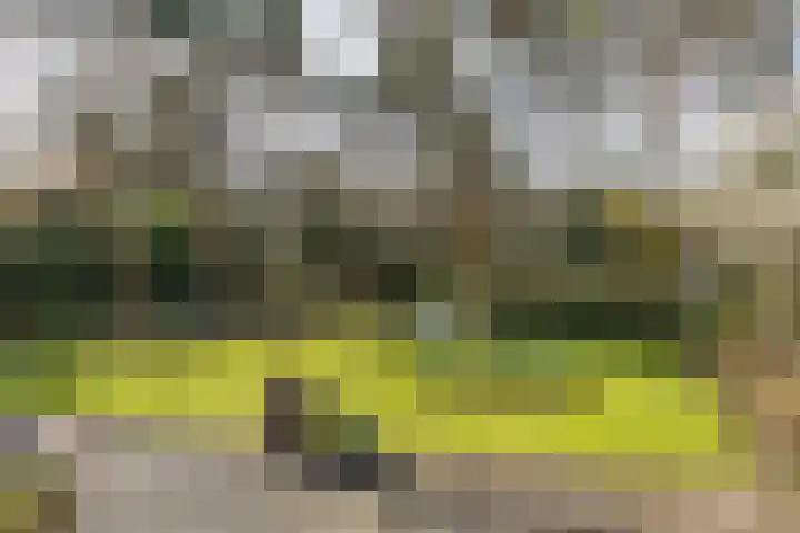Lassuslaan 52 C Bilthoven thumbnail 56